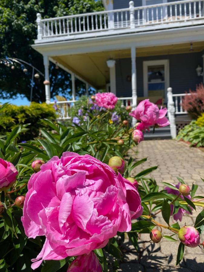 Toba'S Bed & Breakfast Lunenburg Luaran gambar